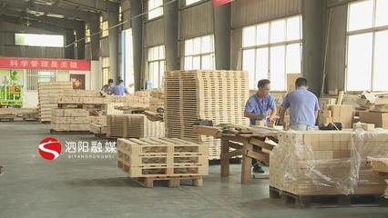 新袁镇 严格对照标准，推动木材加工与家具制造产业转型升级与销售拓展